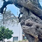 Collina Di Girgenti