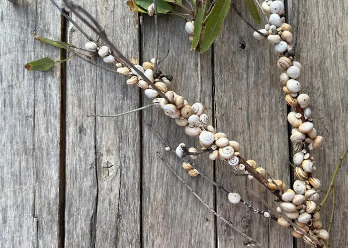 Collina Di Girgenti *