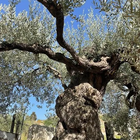 Collina Di Girgenti Apartman *