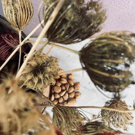 Collina Di Girgenti Appartement *