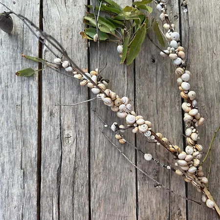 Collina Di Girgenti *