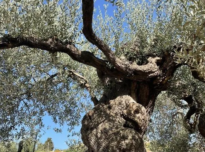 Collina Di Girgenti Апартаменты *