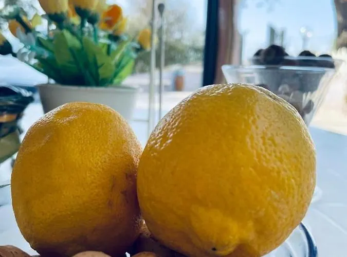 Апартаменты Collina Di Girgenti *