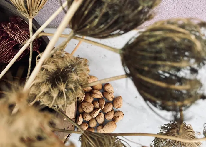 Collina Di Girgenti Апартаменты *