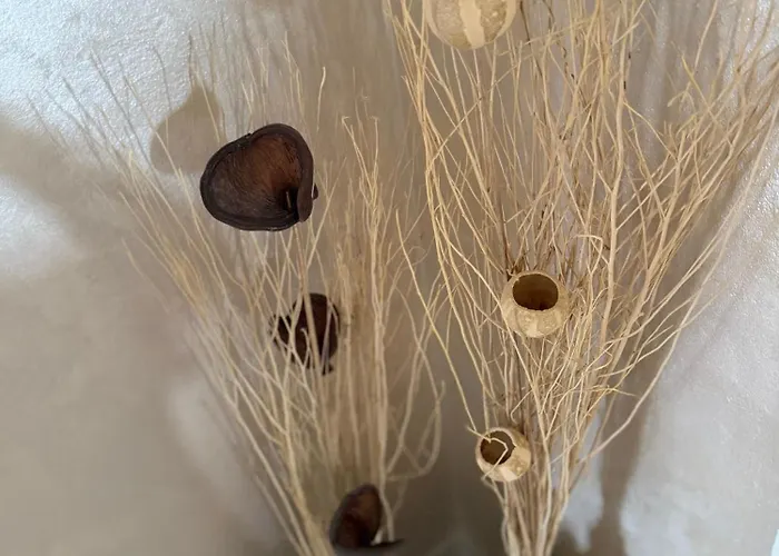 Collina Di Girgenti Агридженто